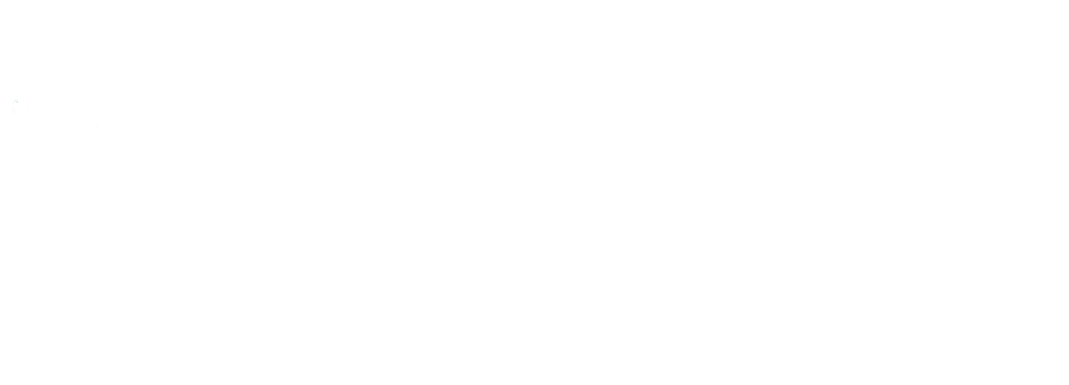 zamera logo